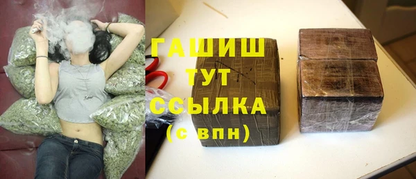 соль ск Богородск