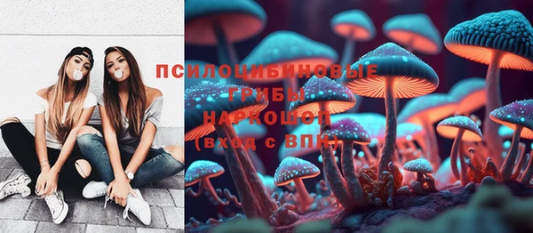 ПСИЛОЦИБИНОВЫЕ ГРИБЫ Богородицк