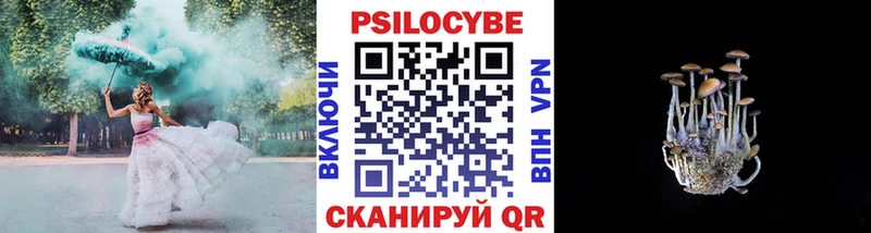 Купить где Ачинск Галлюциногенные грибы прущие грибы